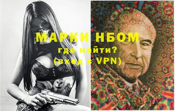 СК Новокубанск