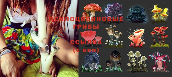 марки nbome Новодвинск