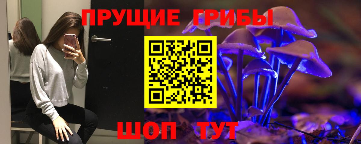 Псилоцибиновые грибы Psilocybine cubensis  Вход с VPN  Ангарск 