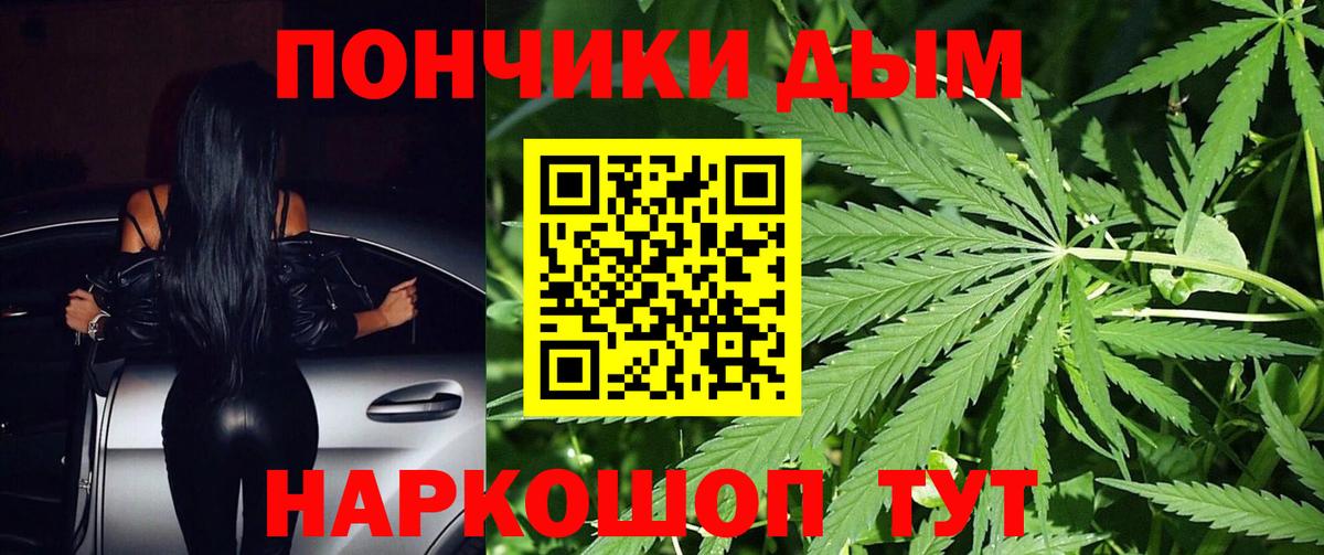 Шишки марихуана план  Бошки марихуана ГИДРОПОН  Марихуана SATIVA & INDICA  Вход с VPN  Шишки марихуана гибрид  Ангарск 
